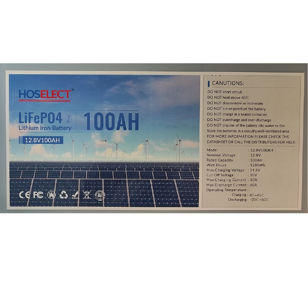 2 x 12.8V 100AH Hoselect lifepo4 Battery (24V)